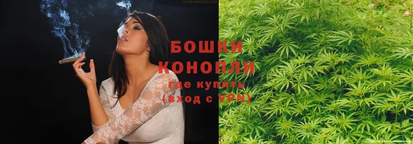 ПСИЛОЦИБИНОВЫЕ ГРИБЫ Костерёво